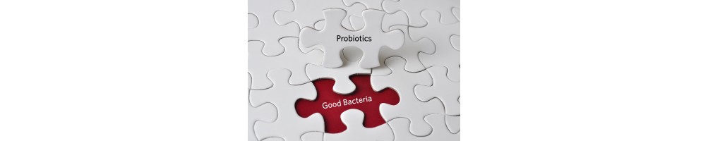 Probiotika